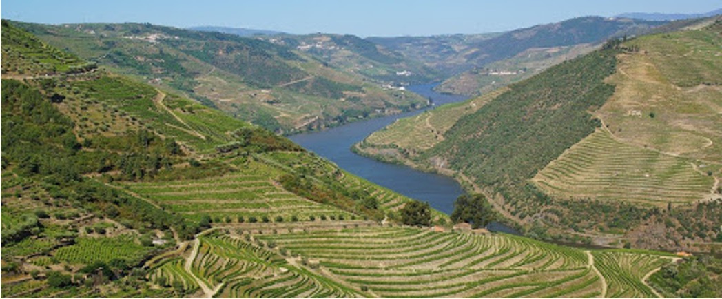 Douro vallei