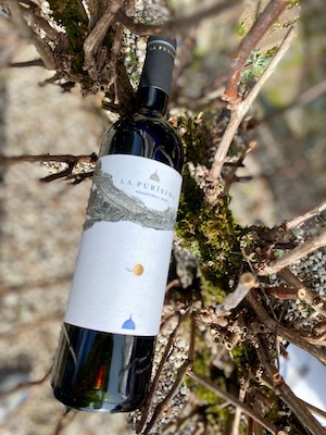 La Purisima proeverij