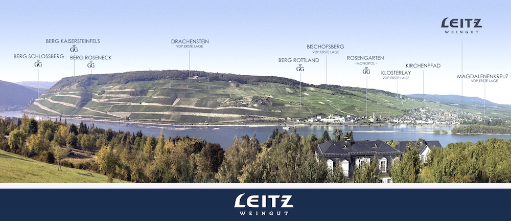 Wijngaarden Leitz