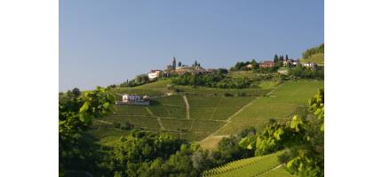Wijnreis Piemonte juni 2012