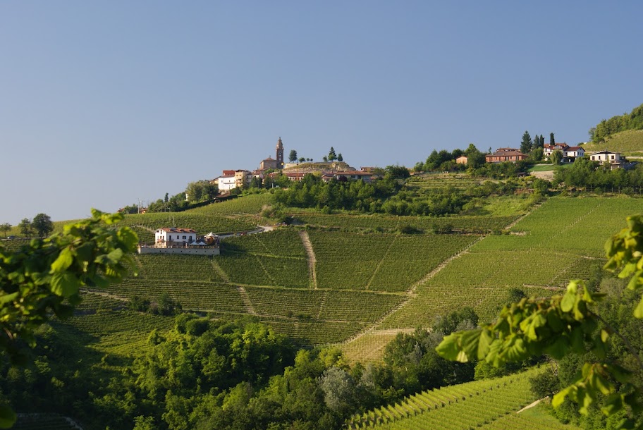 Wijnreis Piemonte, Wijnkoperij Henri Bloem