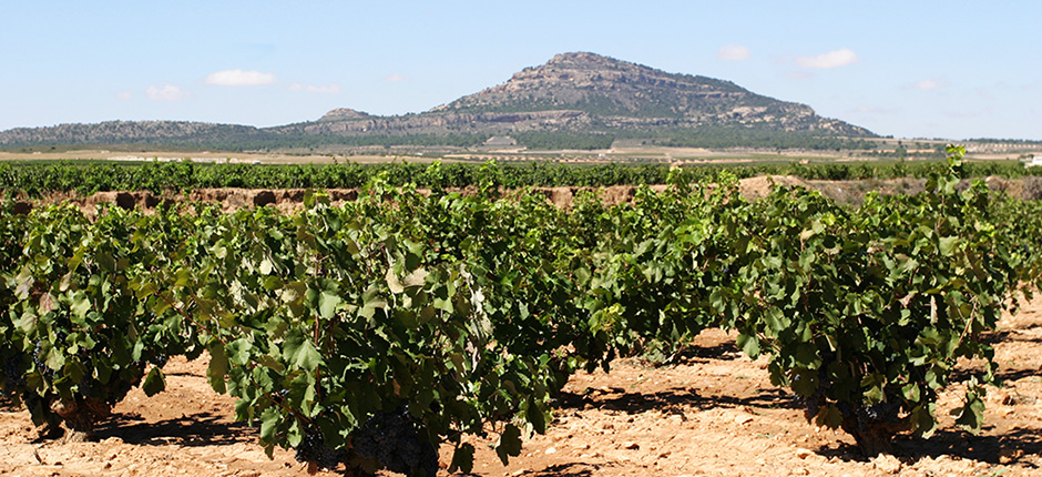 Yecla Murcia La Purisima