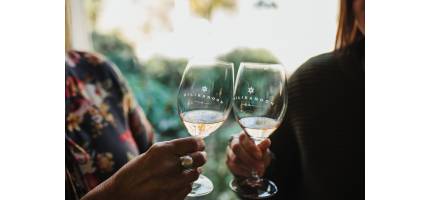 Corona-proof-doos III- Iberico