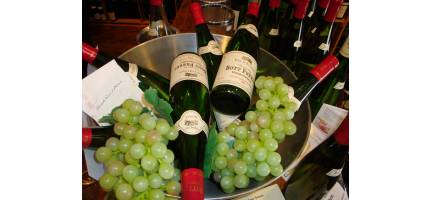 Wijnboer in de winkel - diverse heerlijke Elzaswijnen proeven van Bott-Frères