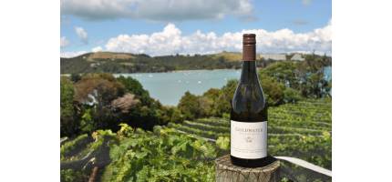 Vrijdag 10 en zaterdag 11 mei Nieuw-Zeeland op de proeftafel