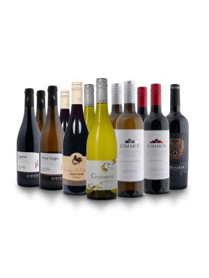 Proefpakket van de maand 2026-3 Proefpakket van de maand 2026-3 - www.henribloem.nl - Henri Bloem Proefpakket van de maand 2026-3 Proefpakket van de maand 2026-3 - www.henribloem.nl - Henri Bloem